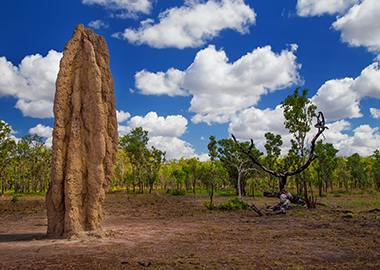 Visita Kakadu National Park
